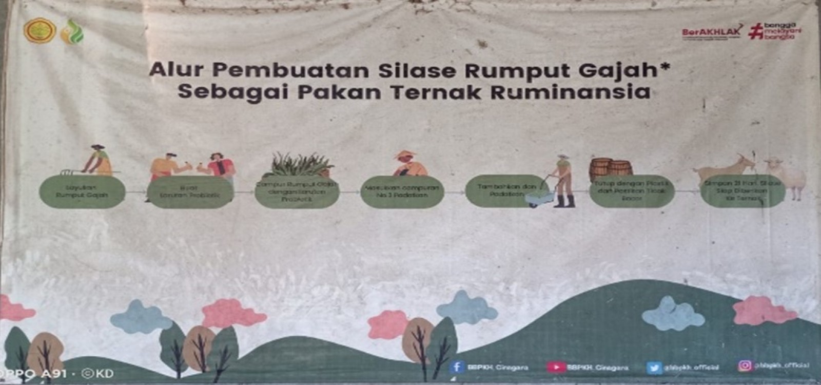 Silase Pakan Lengkap