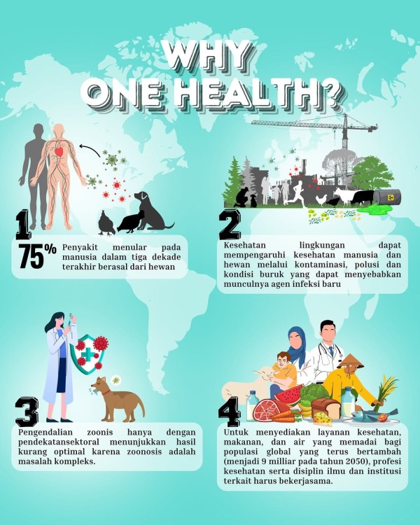 Infografis 2