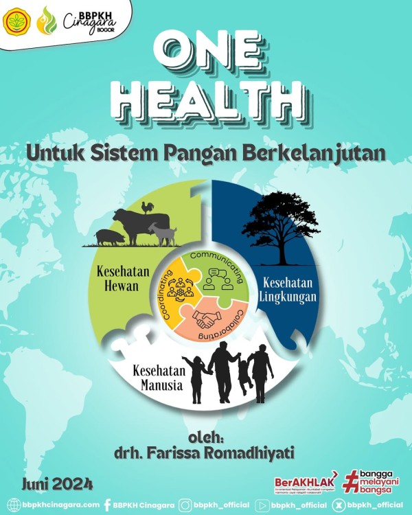 Infografis 6