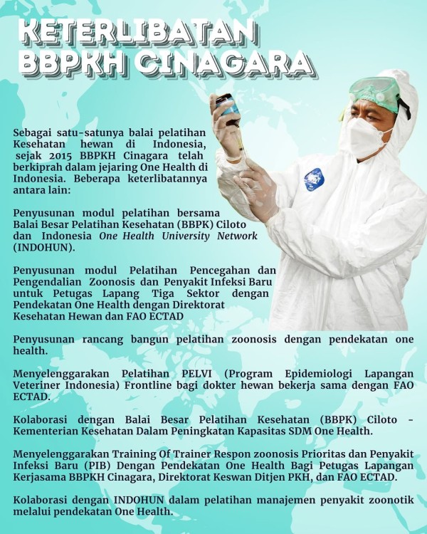 Infografis 3